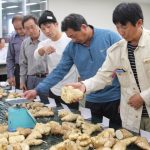 現品を確認する生産者（10月11日）