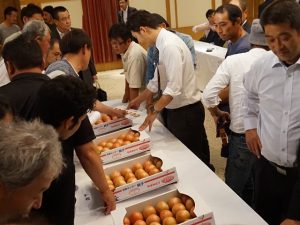 現品を確認する生産者と市場担当者