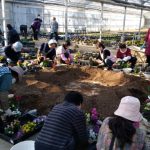寄せ植え作りを楽しむ部員たち(12月16日)