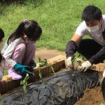 熱心に指導する「畑の先生」(古城小学校)