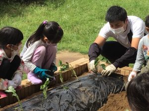 熱心に指導する「畑の先生」(古城小学校)
