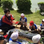 畑の先生として児童に指導（5月10日　古城小学校）