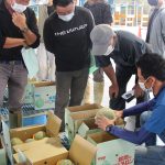 出荷規格を確認する生産者 6月2日）