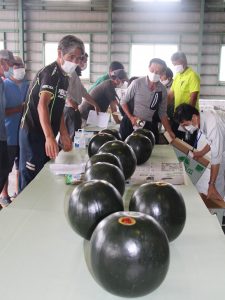 出荷規格を確認する生産者（6月25日）