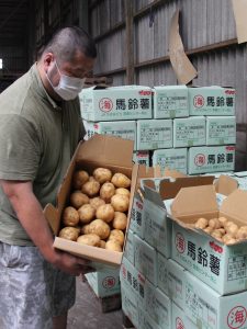 順調に初出荷を迎えたジャガイモ