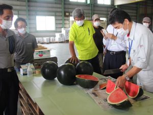 試し切りをして糖度を確認