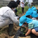 園児に芋苗植えを教える青年部員(5月26日)