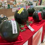 入賞作品を展示（7月17日）