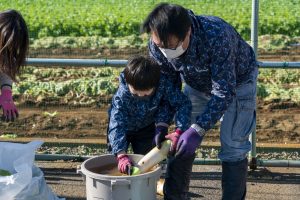 大きな大根の泥を落とす親子(11月27日）