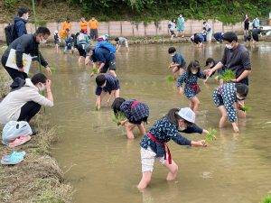 田植えを楽しむ親子連れ(5月2日）