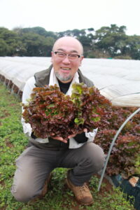 サニーレタスを出荷している伊藤さん