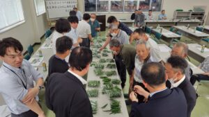 出荷規格を確認する生産者ら（5月20日）