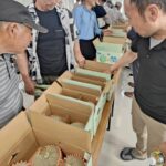 出荷規格を確認する生産者（6月13日）