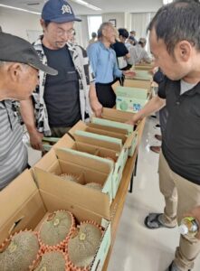 出荷規格を確認する生産者（6月13日）