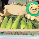 一早く査定会を迎えたそうさのトウモロコシ