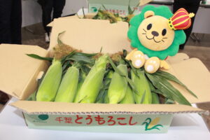一早く査定会を迎えたそうさのトウモロコシ