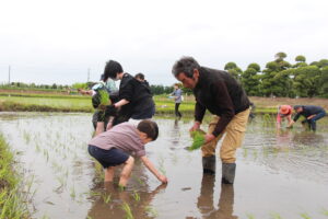 伝統的な田植えを体験（5月24日）